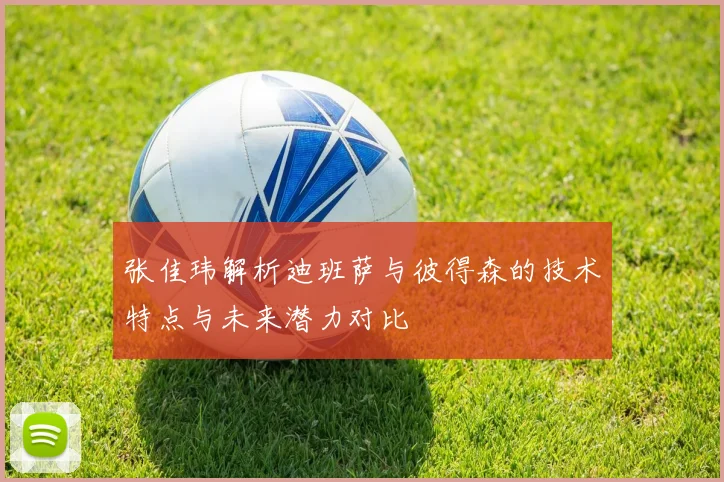 张佳玮解析迪班萨与彼得森的技术特点与未来潜力对比