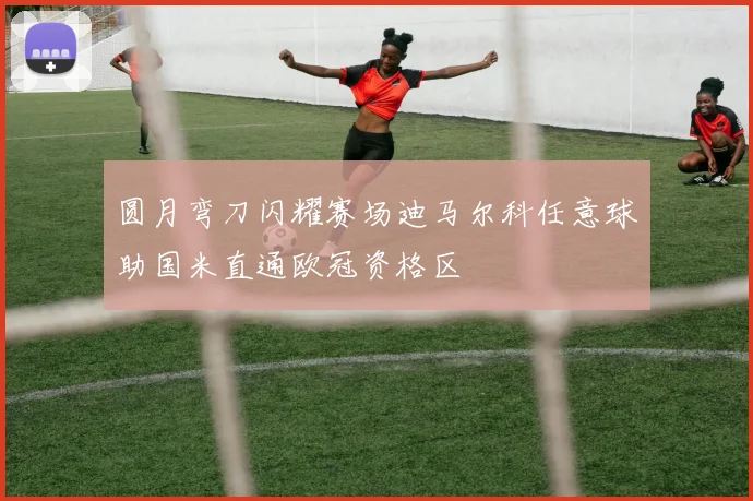 圆月弯刀闪耀赛场迪马尔科任意球助国米直通欧冠资格区