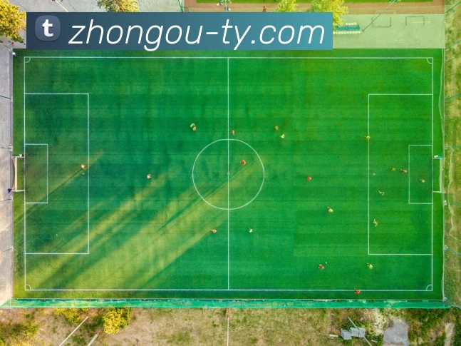 中欧体育APP 高清赛事图